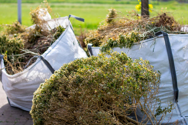 Best Yard Waste Removal  in Brandon, MS